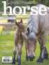 Horse Illustrated Magazine Subscription